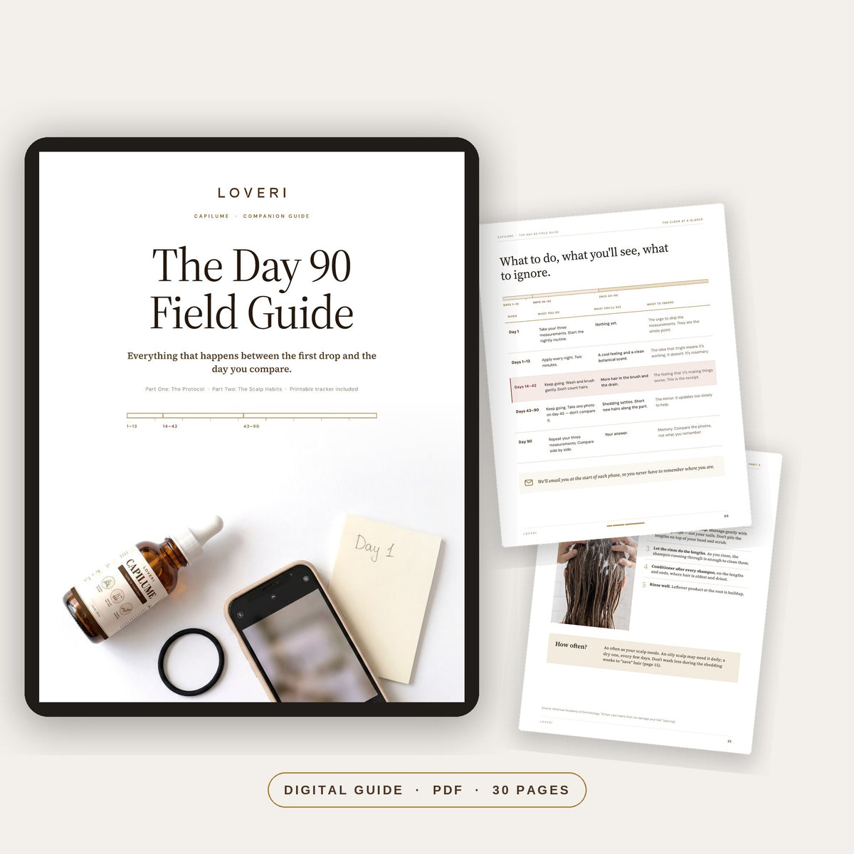 The Day 90 Field Guide